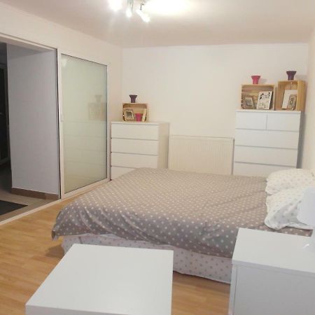 Studio Moliere Apartament Braszów Zewnętrze zdjęcie