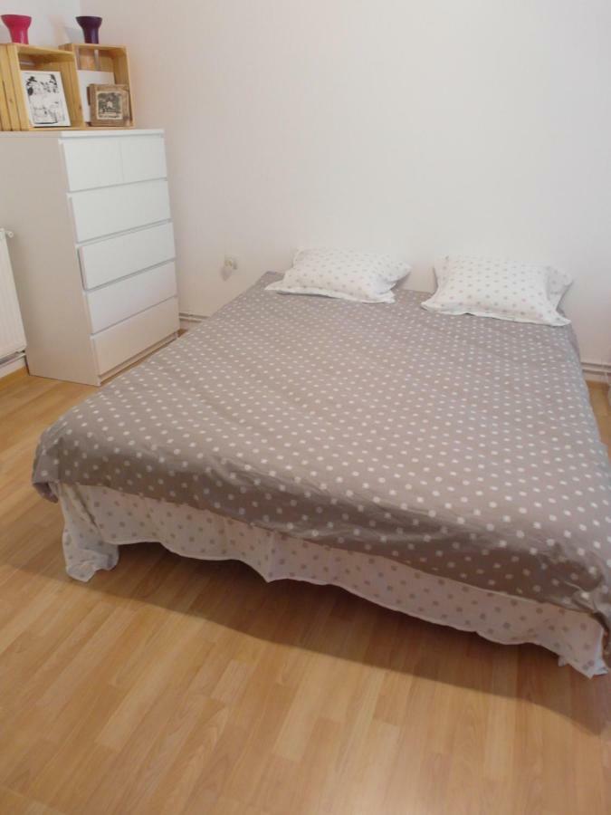 Studio Moliere Apartament Braszów Zewnętrze zdjęcie