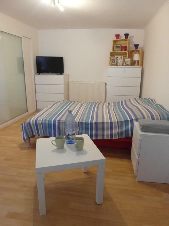 Studio Moliere Apartament Braszów Zewnętrze zdjęcie